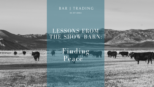 Lessons from the Show Barn : Finding Peace